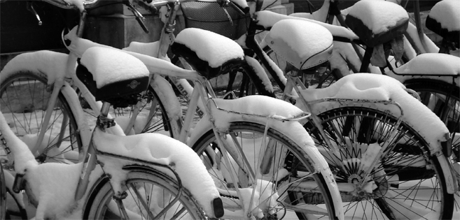 noleggio biciclette